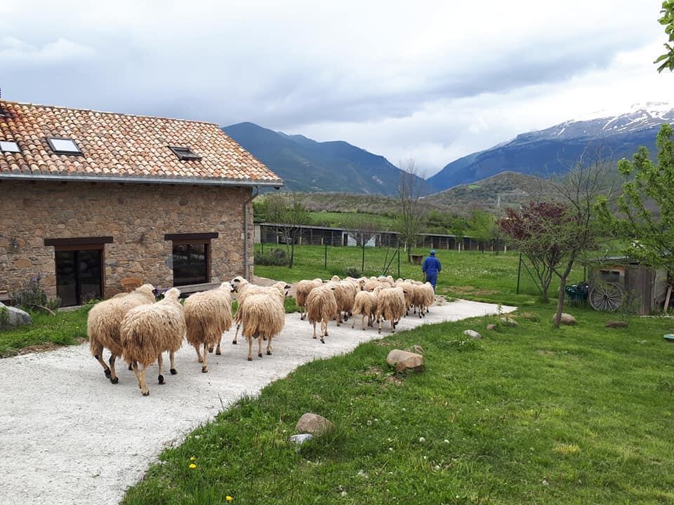 Albergue A'Noguera Castiello de Jaca Εξωτερικό φωτογραφία