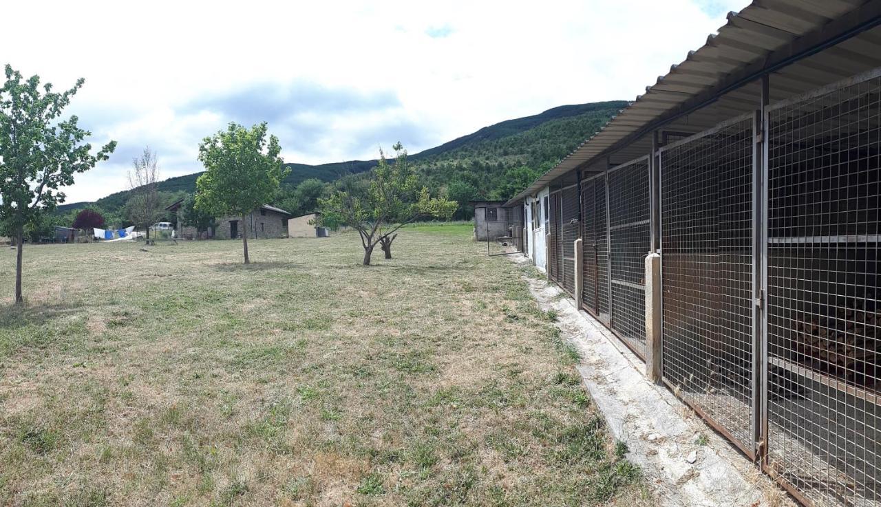 Albergue A'Noguera Castiello de Jaca Εξωτερικό φωτογραφία